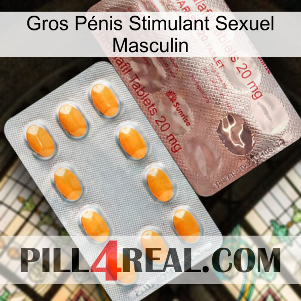 Gros Pénis Stimulant Sexuel Masculin new13.jpg